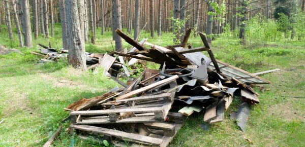 Debris Removal Service in Conway